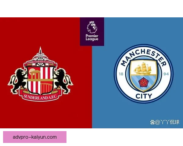 桑德兰新老板投资计划引发市场关注，或将提升球队竞争力